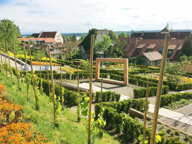 7-Heckencarrés2-komprimiert.jpg