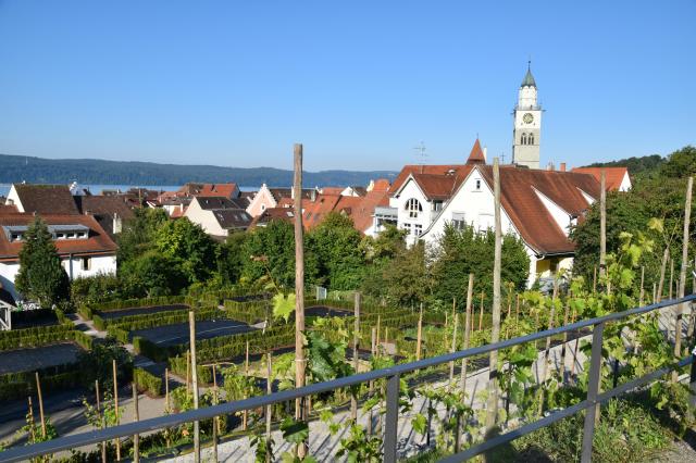 7-Rebhang mit Münsterblick-komprimiert.jpg