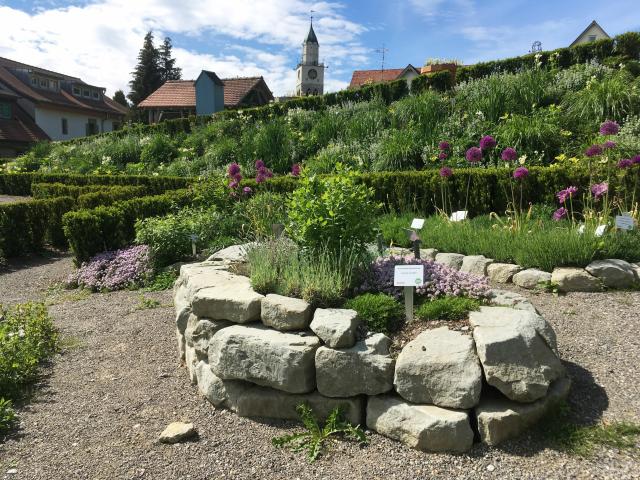 9-Kräutergarten-komprimiert.jpg