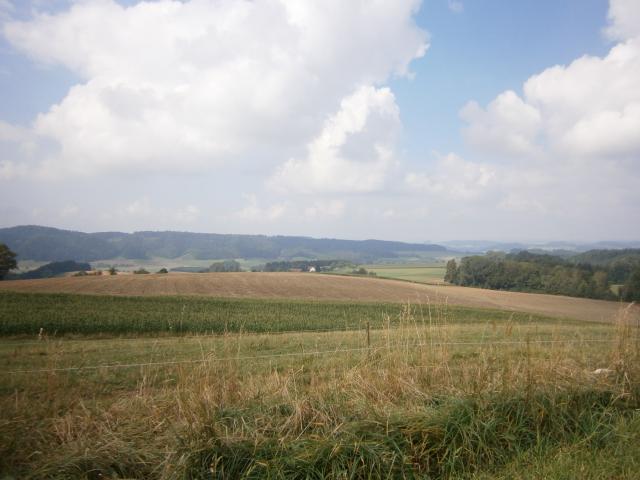 P8200008_Kopie_1.jpg